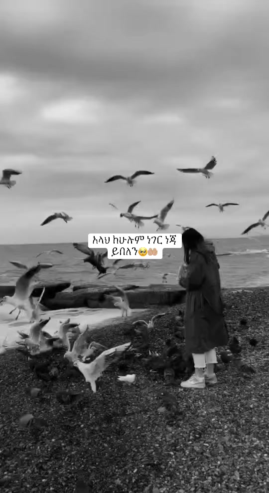 @𝓯𝓸𝔃𝓲 &hearts;️💫🦋