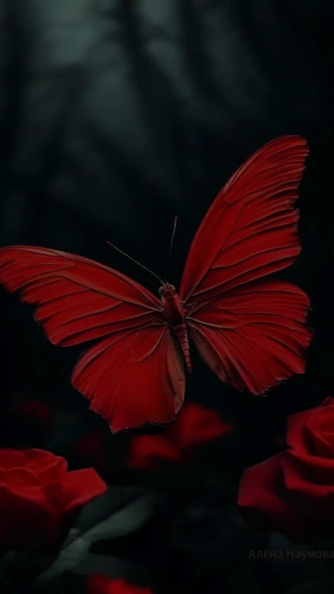 @🎧🕊️🅐︎🅛︎🅞︎🅝︎🅔︎🕊️🎧