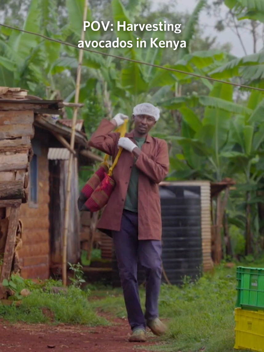 @OneAcreFund.org
