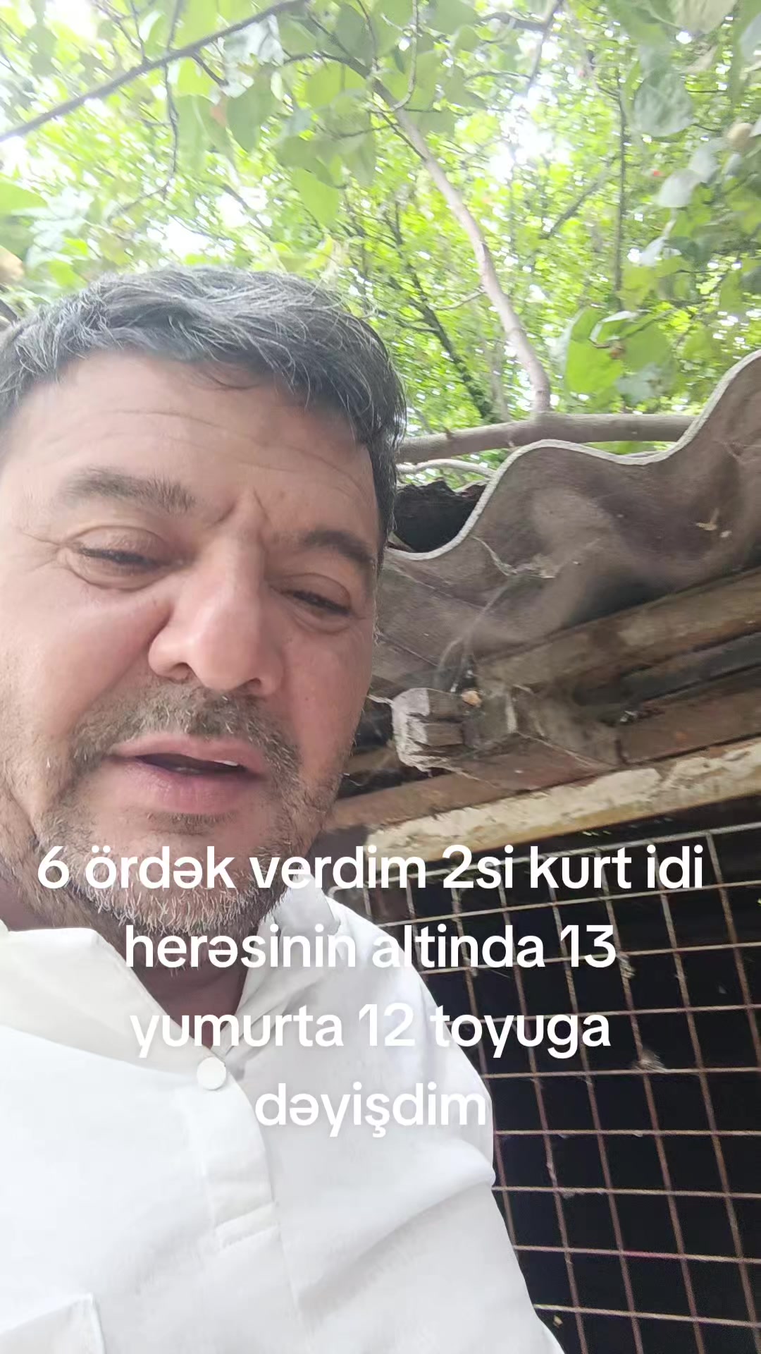 @lüt___Eşqin