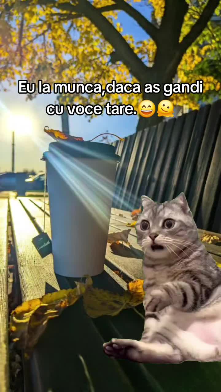 @Pastila de Râs😂