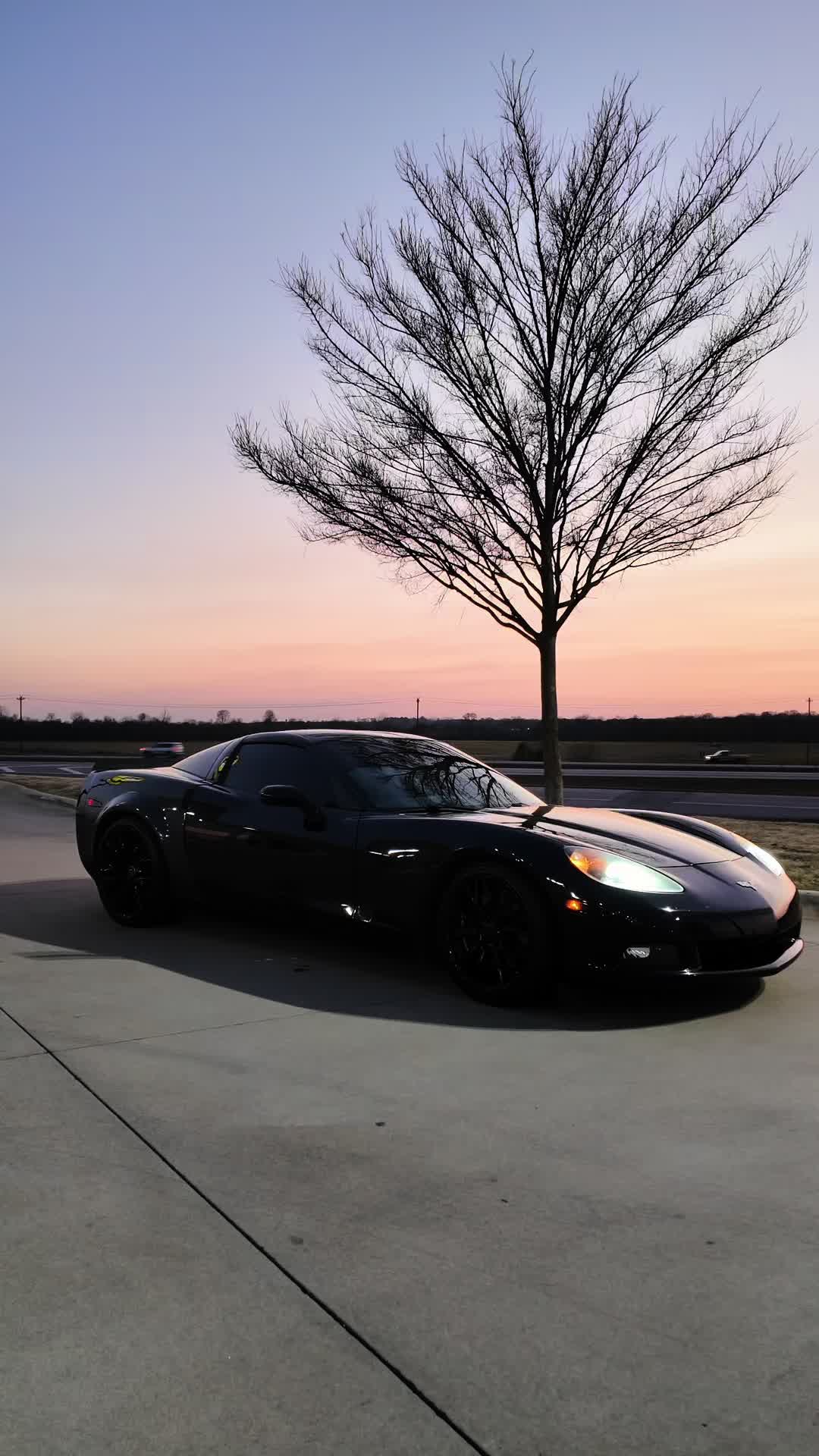 @bray_c6