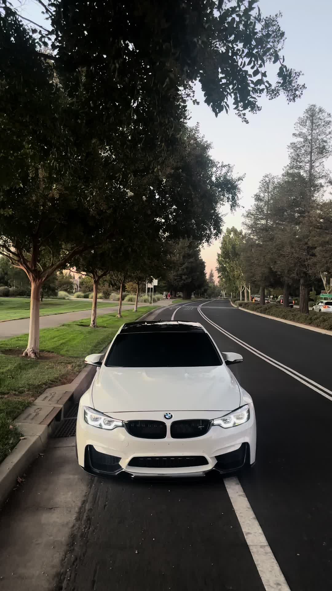 @f80ivan
