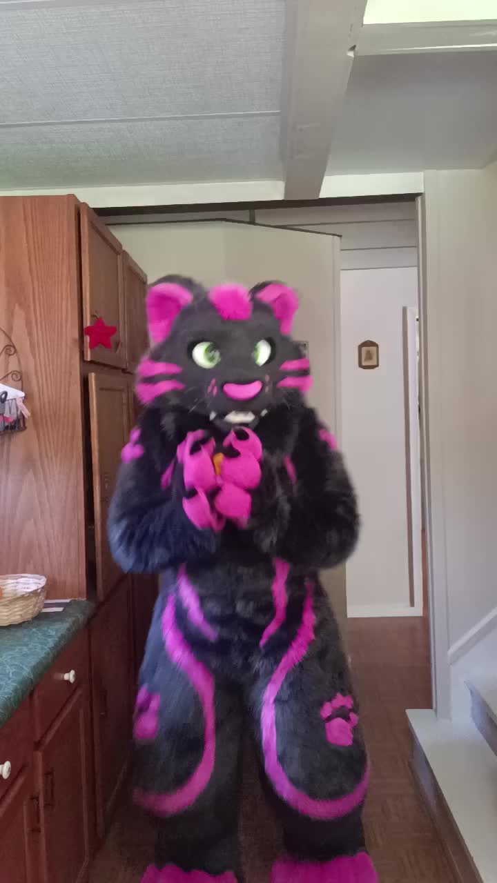 @dingbat 🐾 mew,mew 🐾