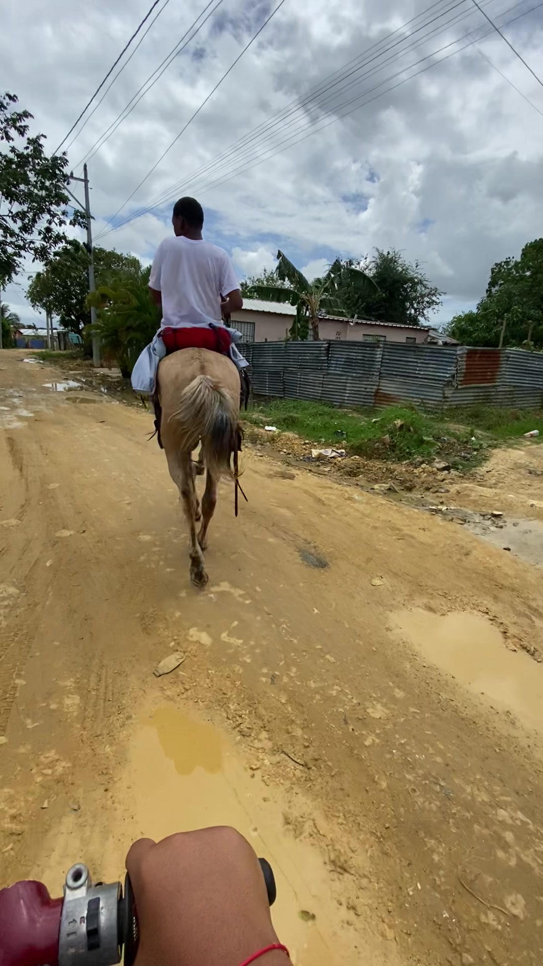 @El tal caballista ese 🤠