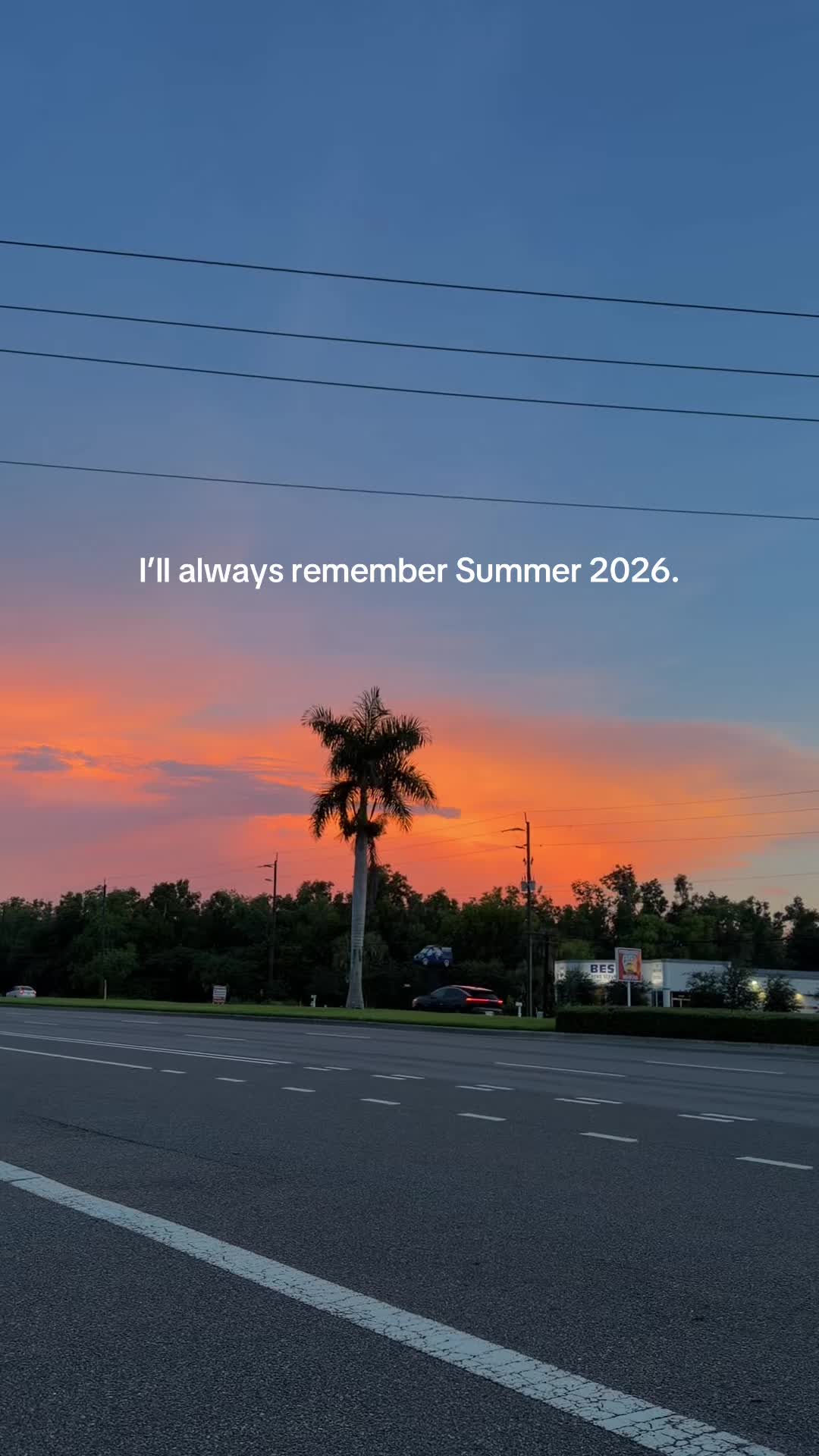 @ari🌅🌞🐚🦈
