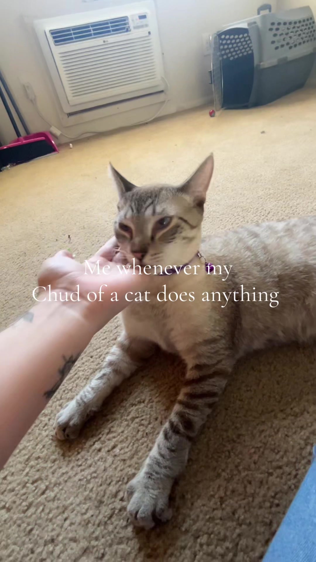 @Madi🐆