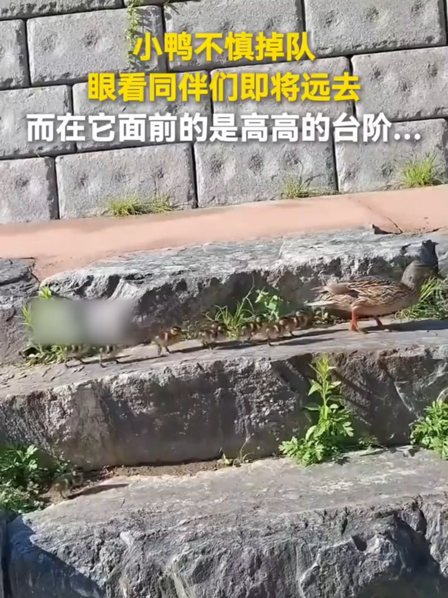 @闽南风～