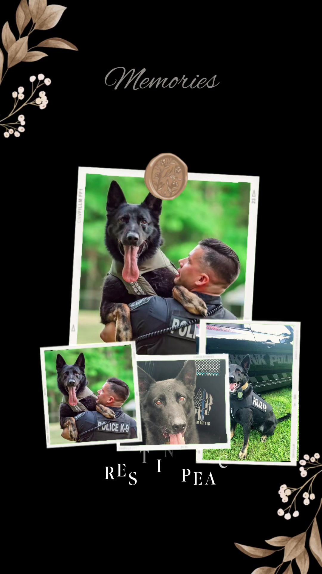 @Vested Interest in K9s, Inc.
