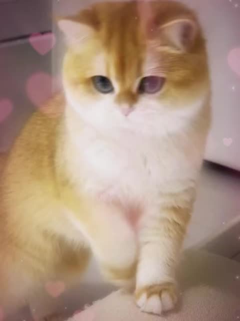 @VyyPilgrim72
