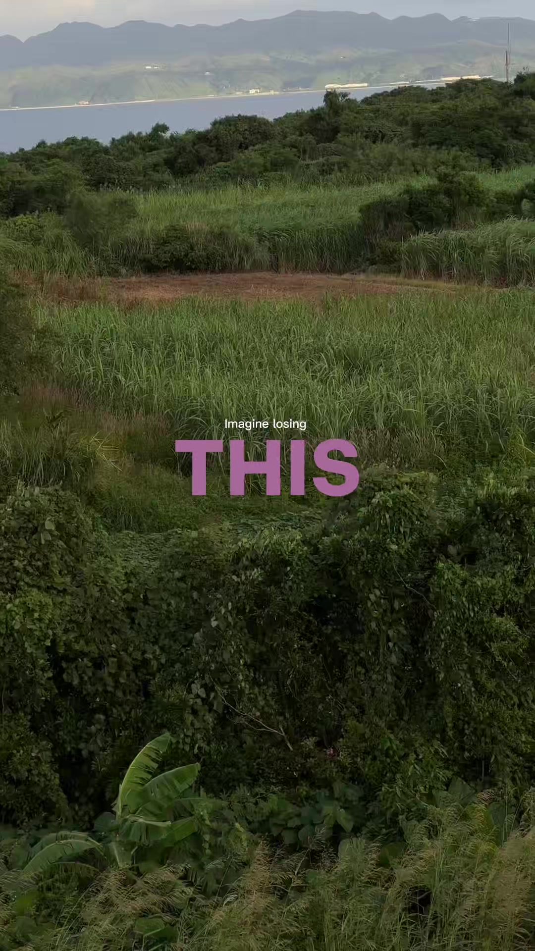 @SaucedUp!