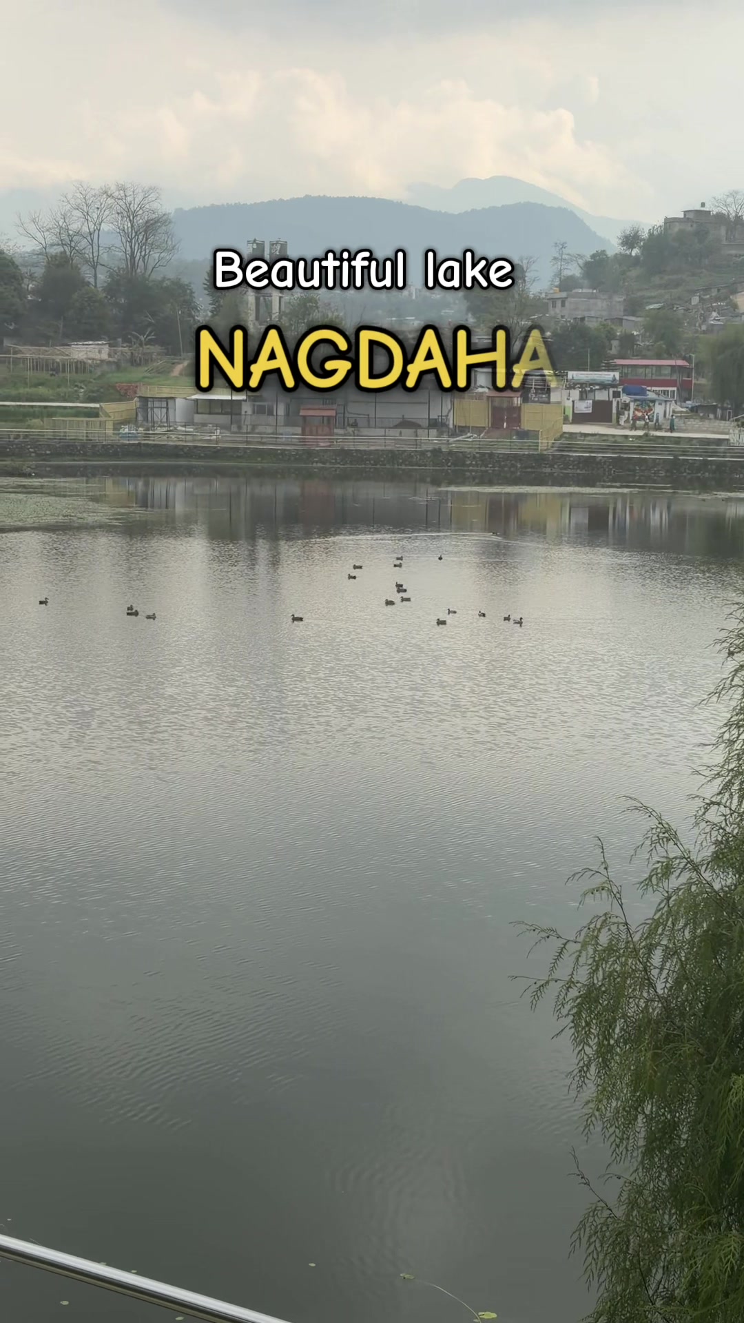 @Newprakritigarden