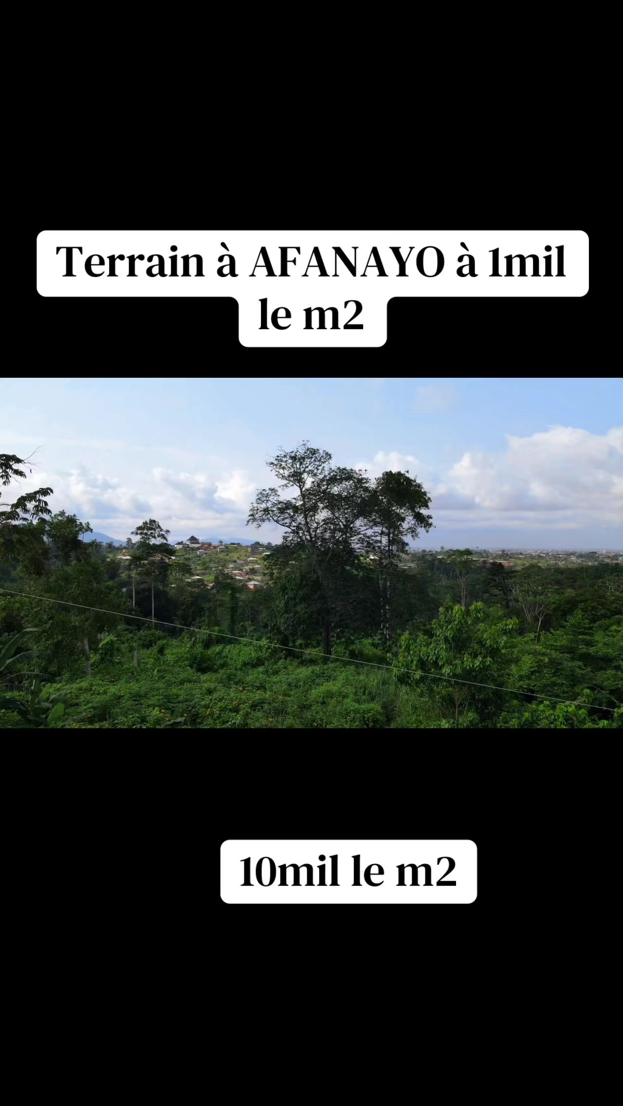 @DINO~IMMO~237🇨🇲🇨🇲