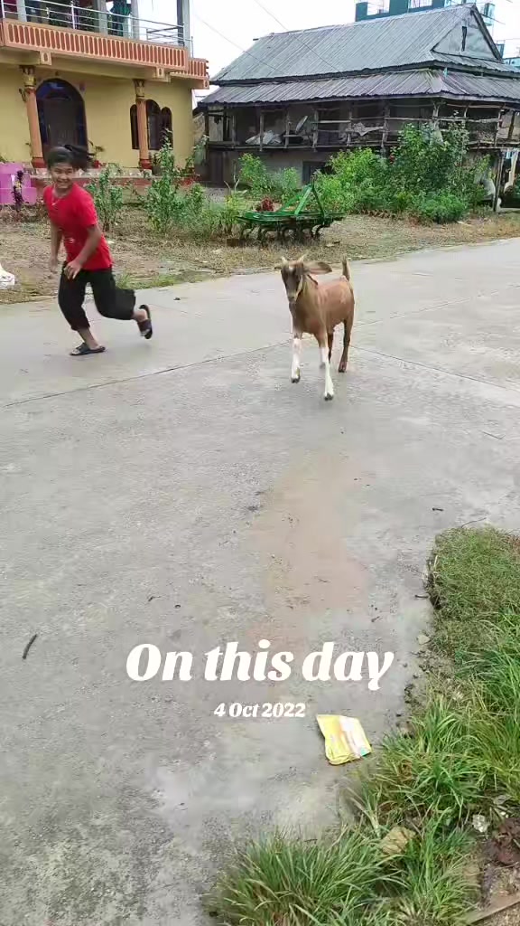 @renukathapa922