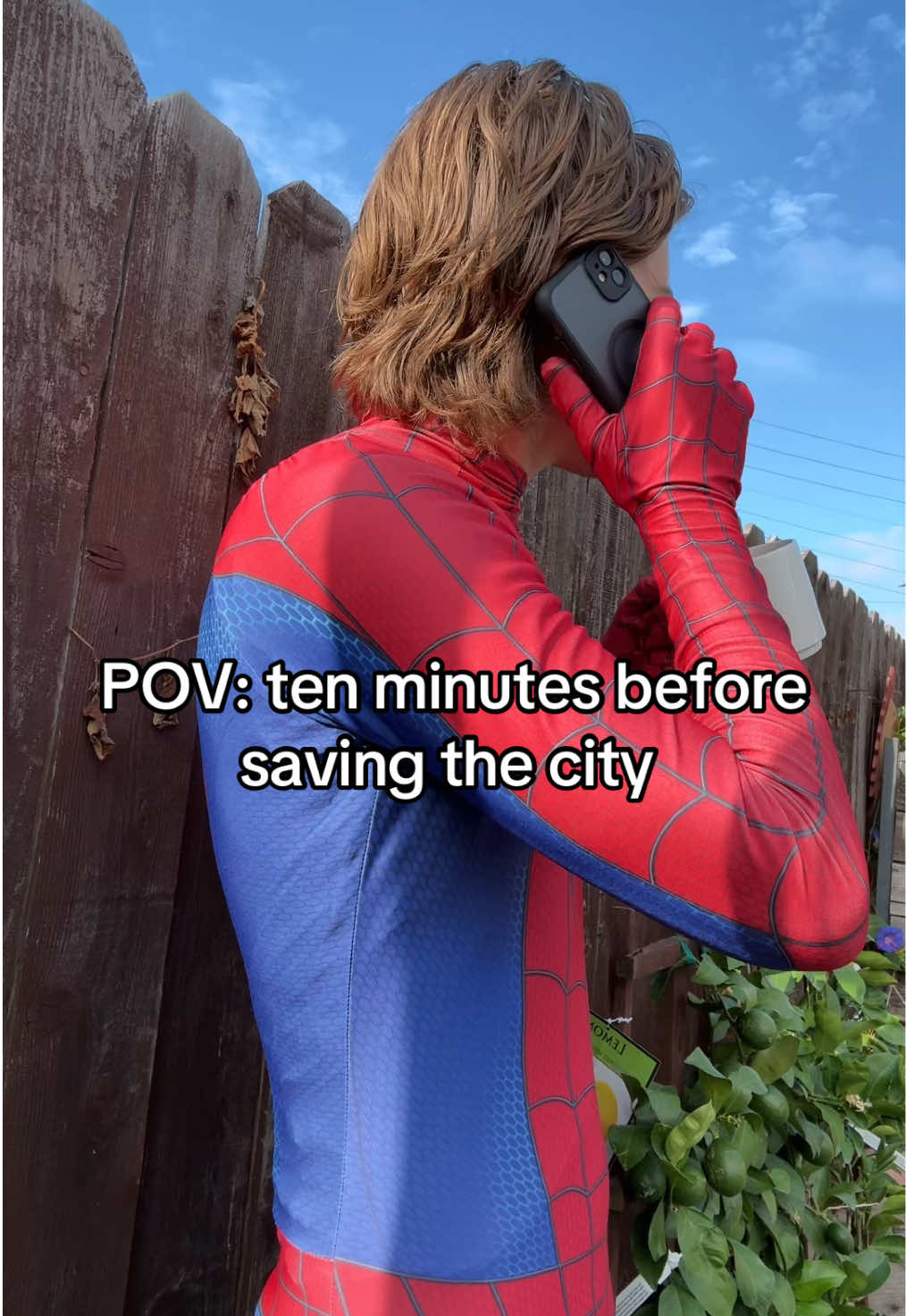 @PGWEBHEAD