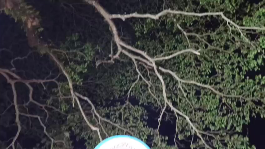 @❝།།♡ ফরিদপুর জেলার ছেলে💝💖💝