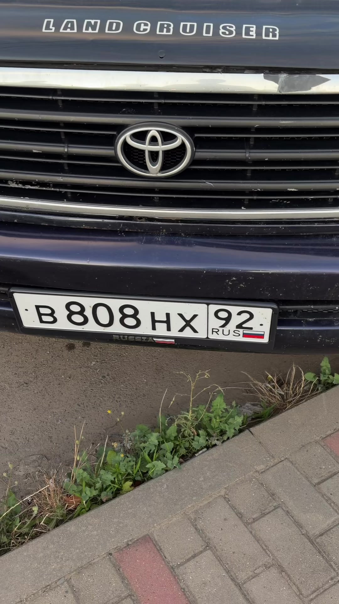 @ТГК: Mr.dathuzhev 🚩