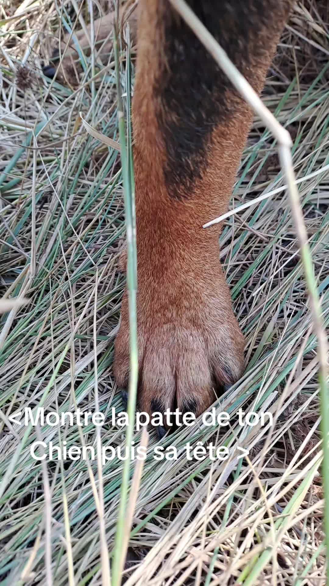 @NALA