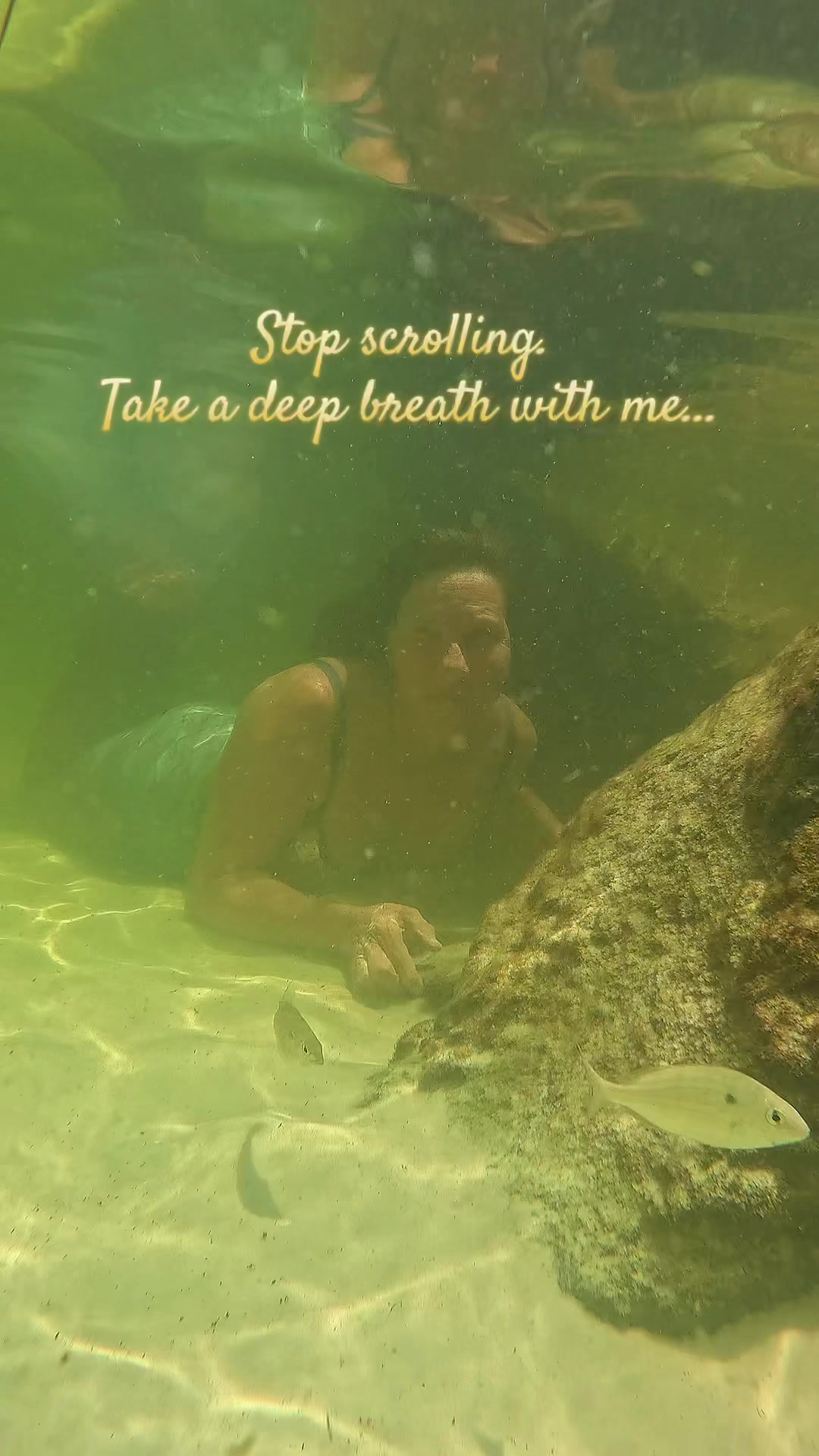@Gulf Coast Mermaid 🧜&zwj;♀️