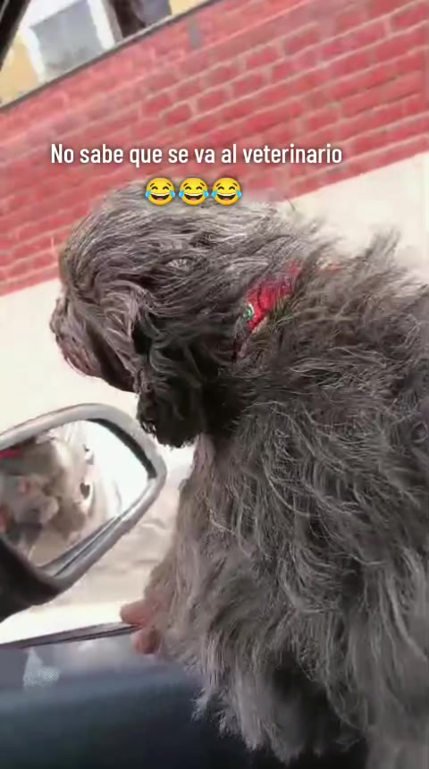 @PÍA TORRES 💕