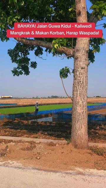 @ibnu saechu law