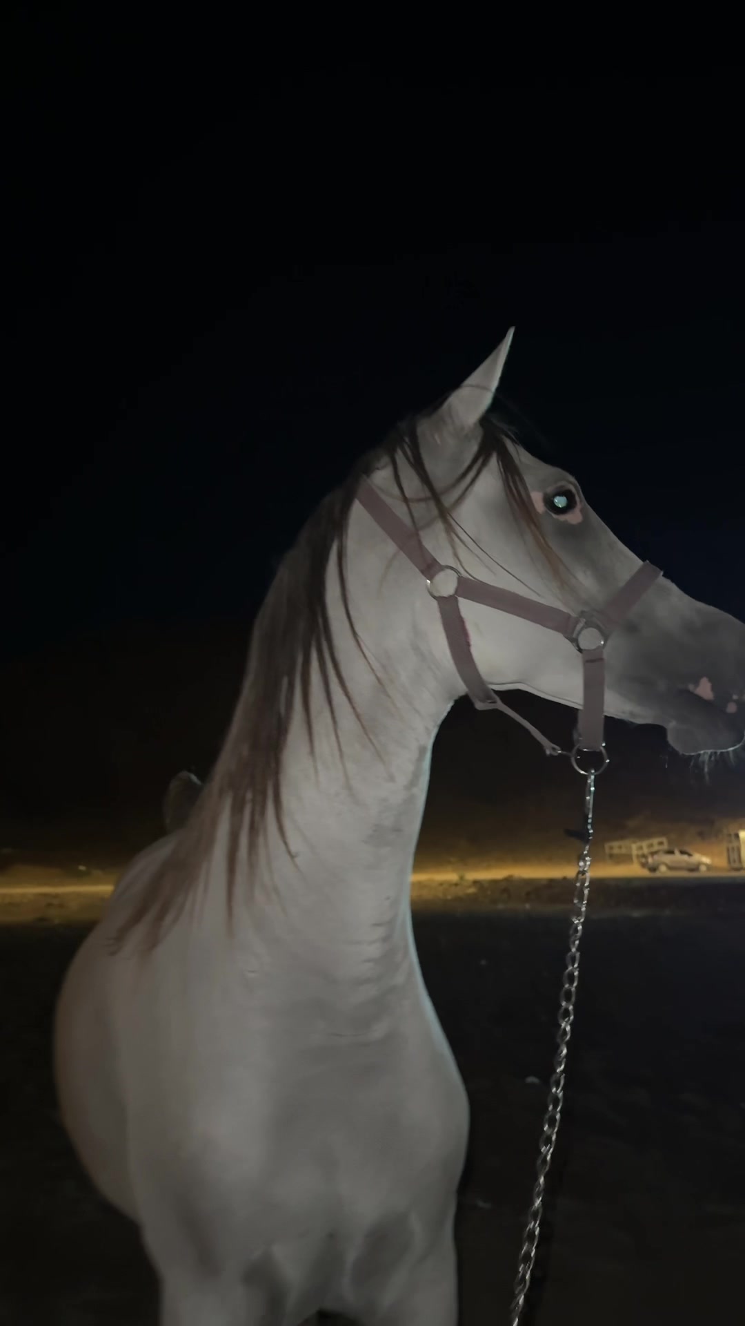 @𝙵𝙰𝙸𝚂𝙰𝙻
