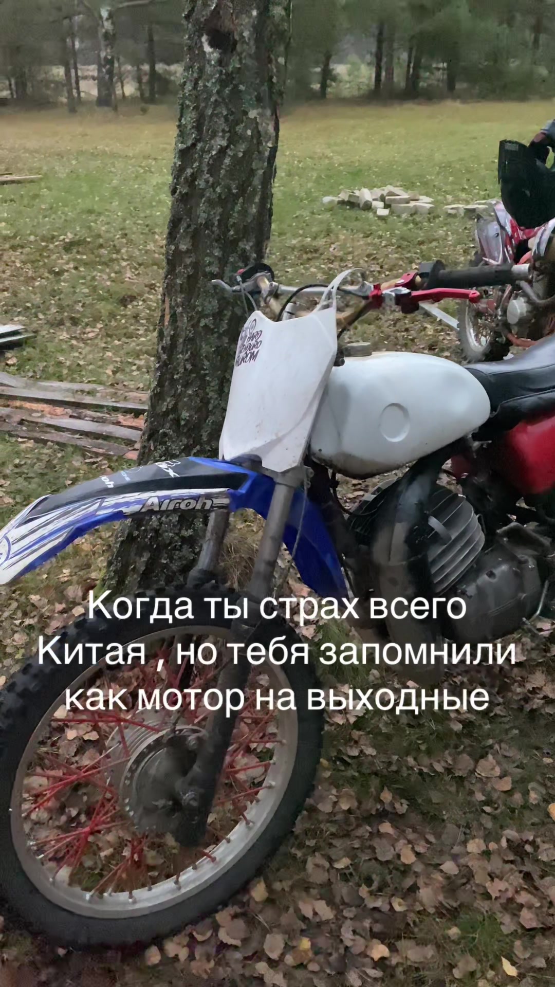 @čzvod