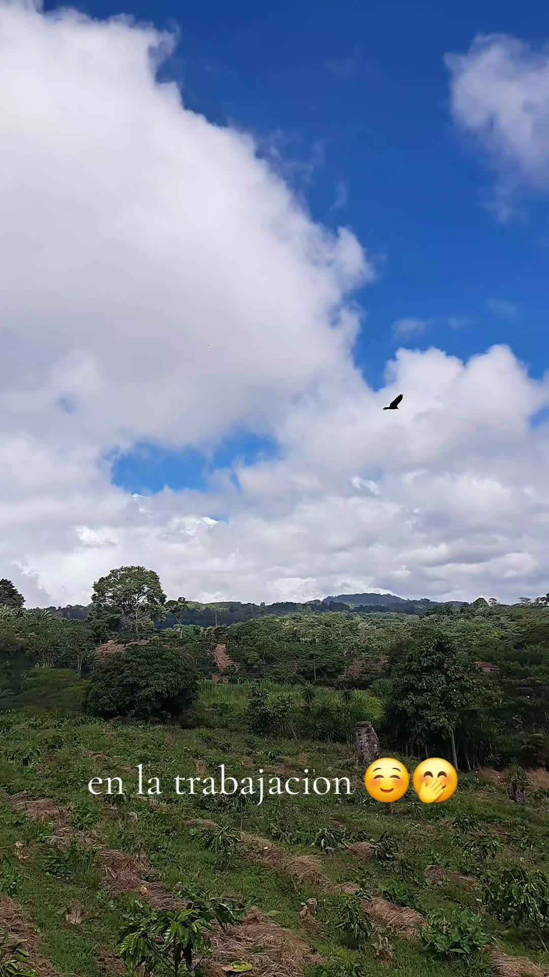@JJ ESCOBAR