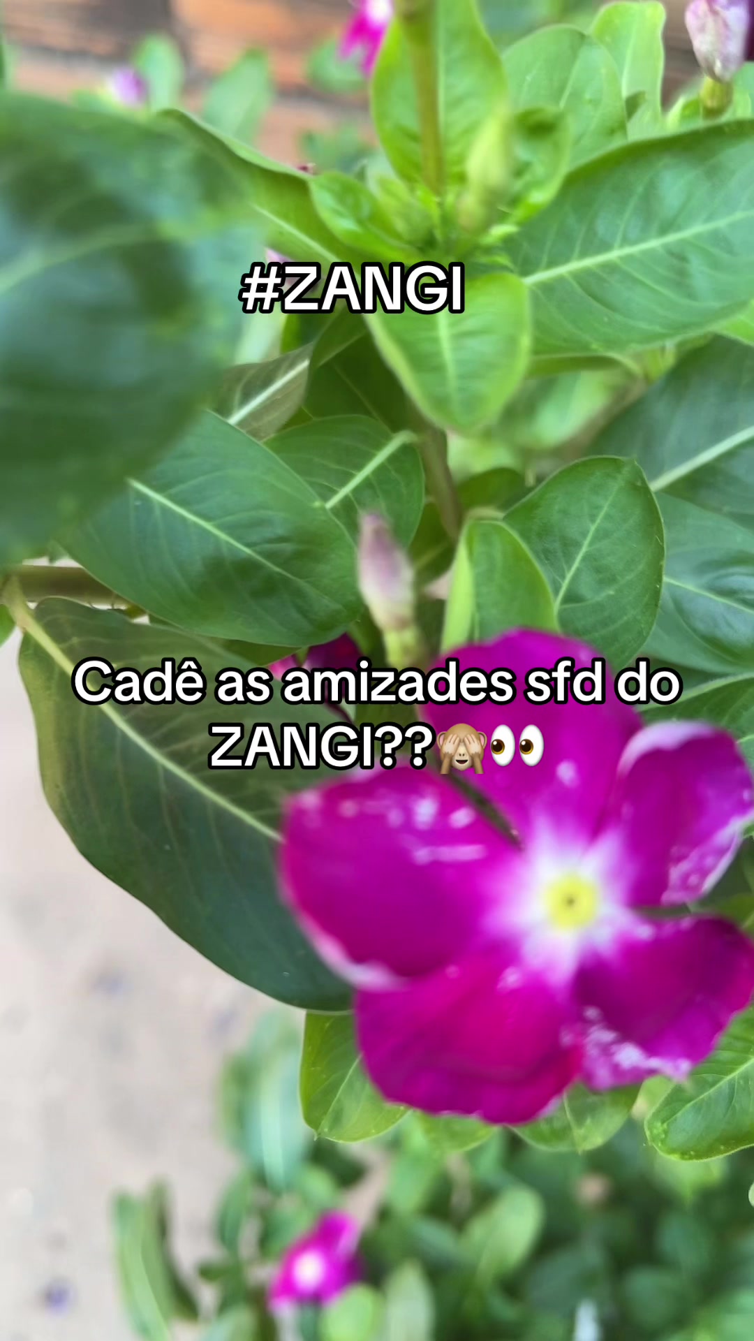 @manuely