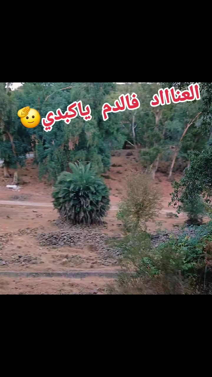 @♥Ibtissem🇹🇳fadhlaoui 😍
