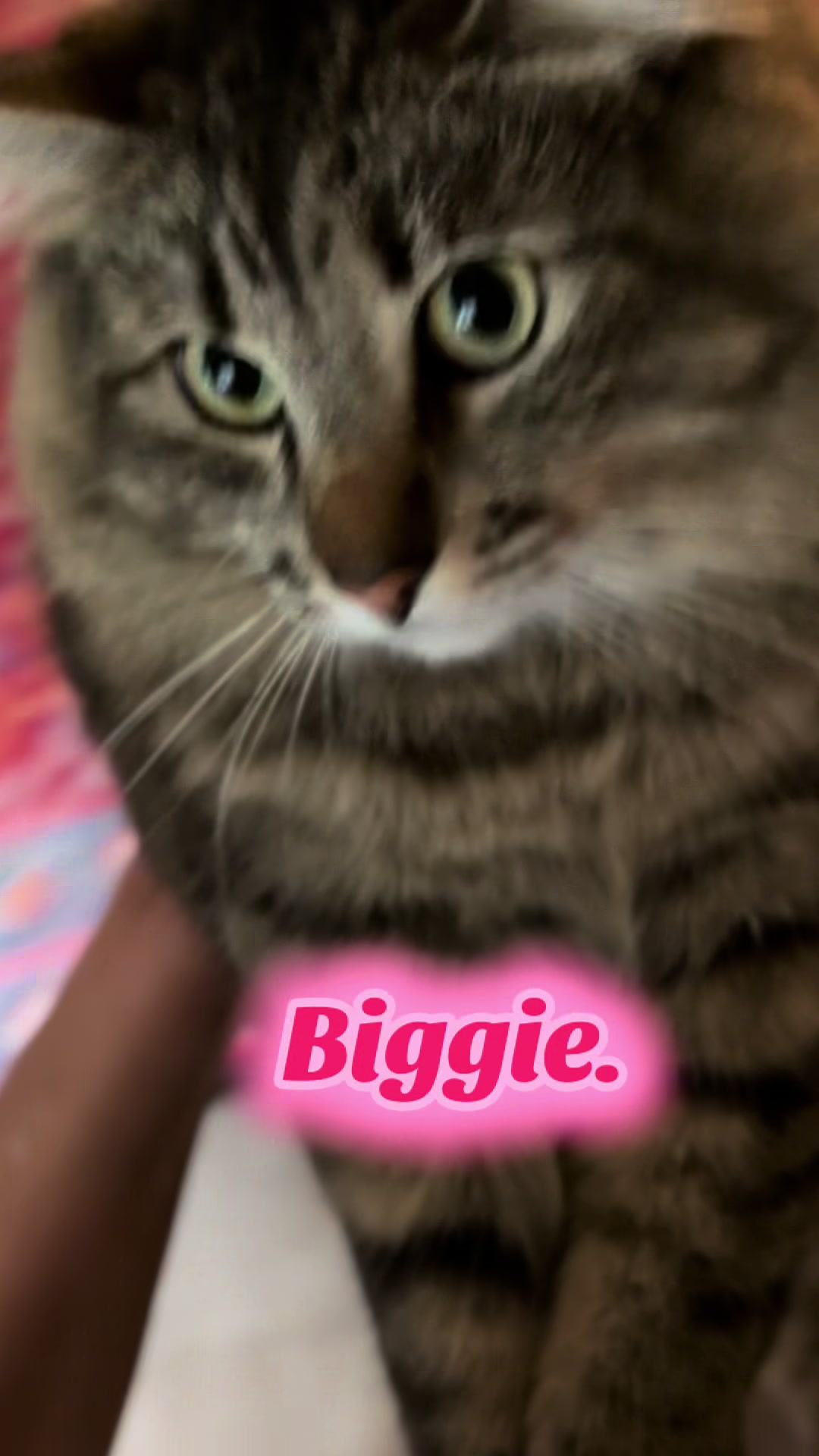 @Biggie & June