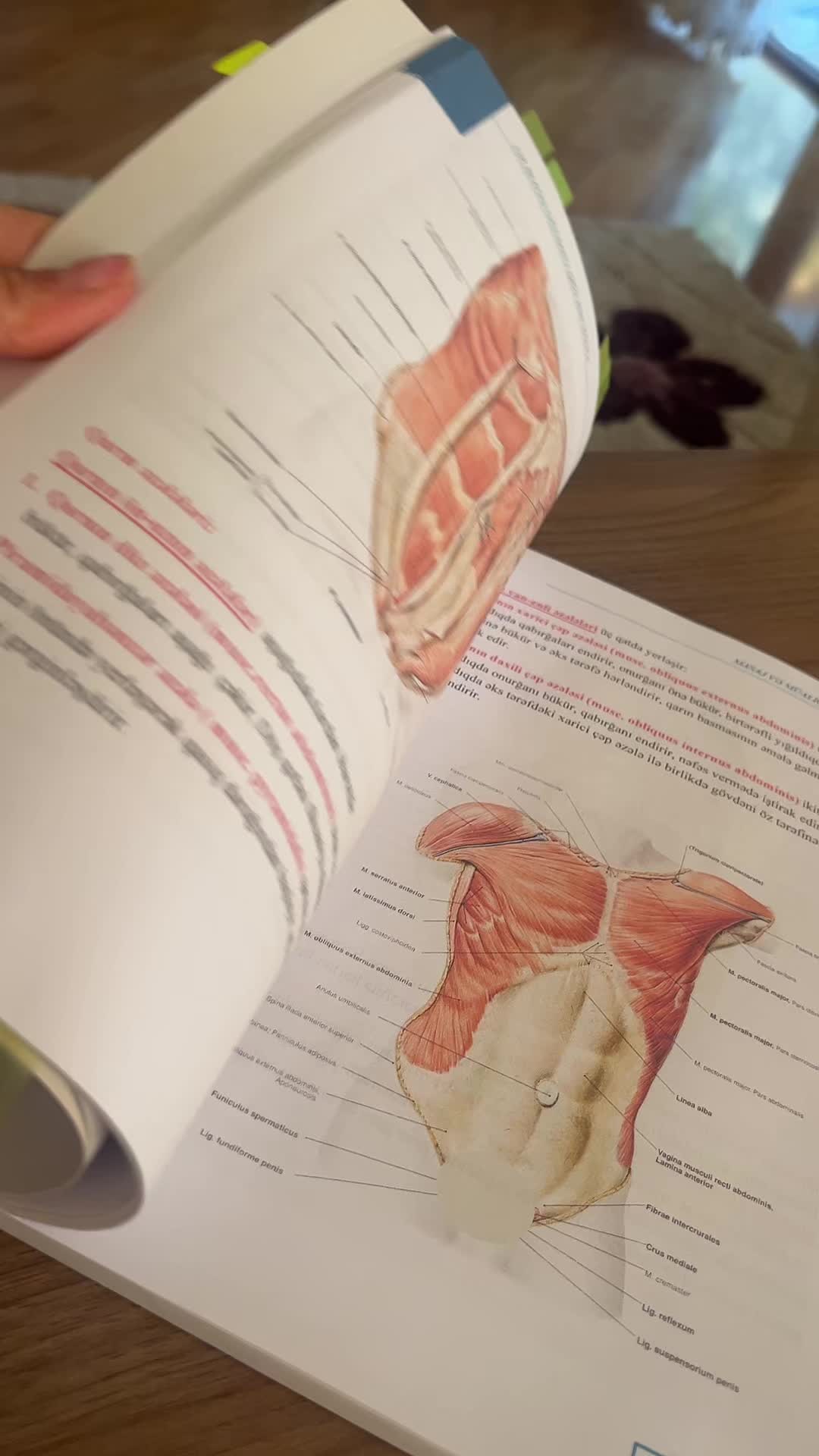 @Akademik Tibbi Kurslar