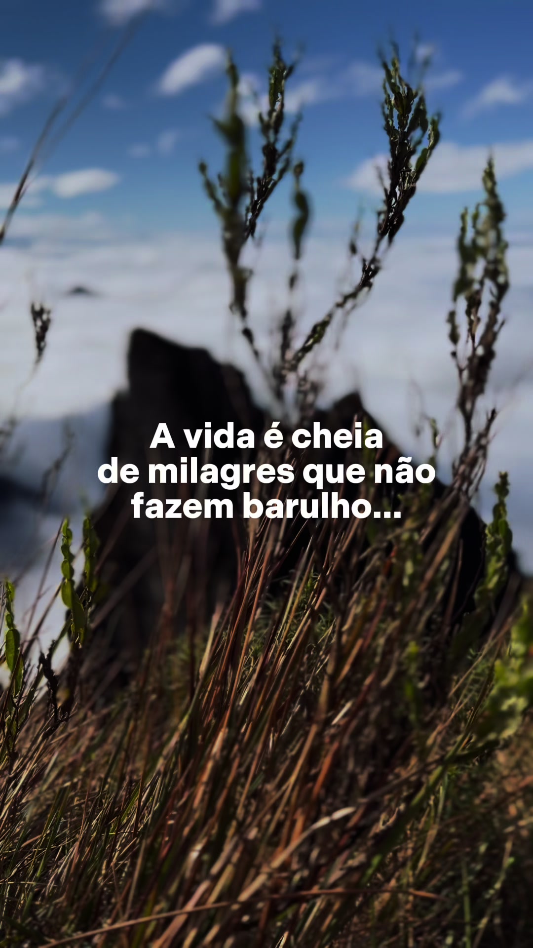 @Sul do Mundo | Expedições