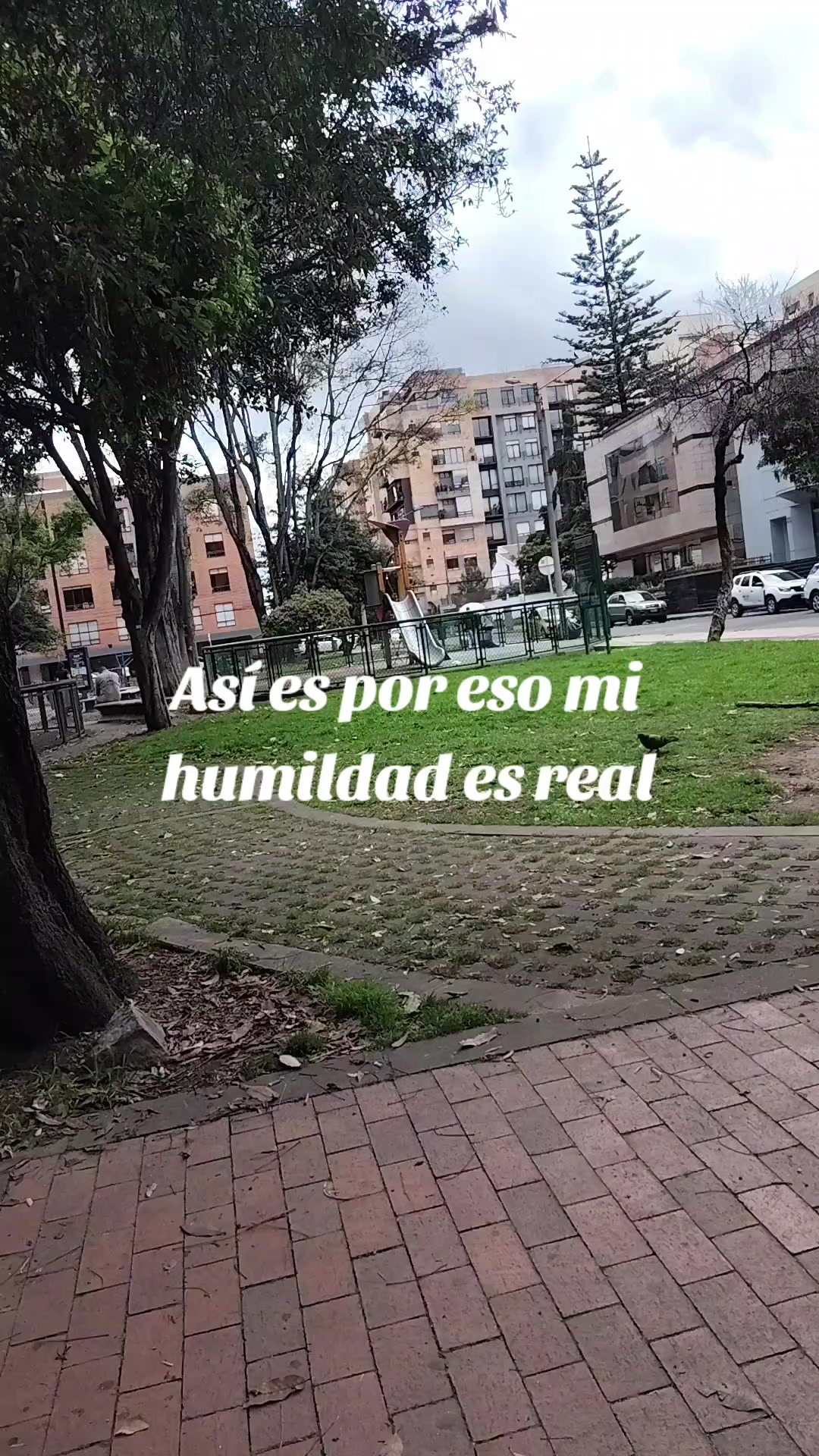 @el turpial del valle HM