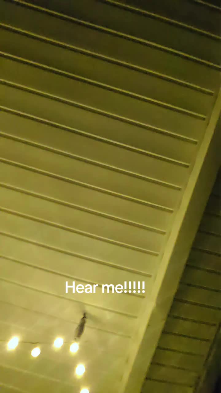 @montananarramore