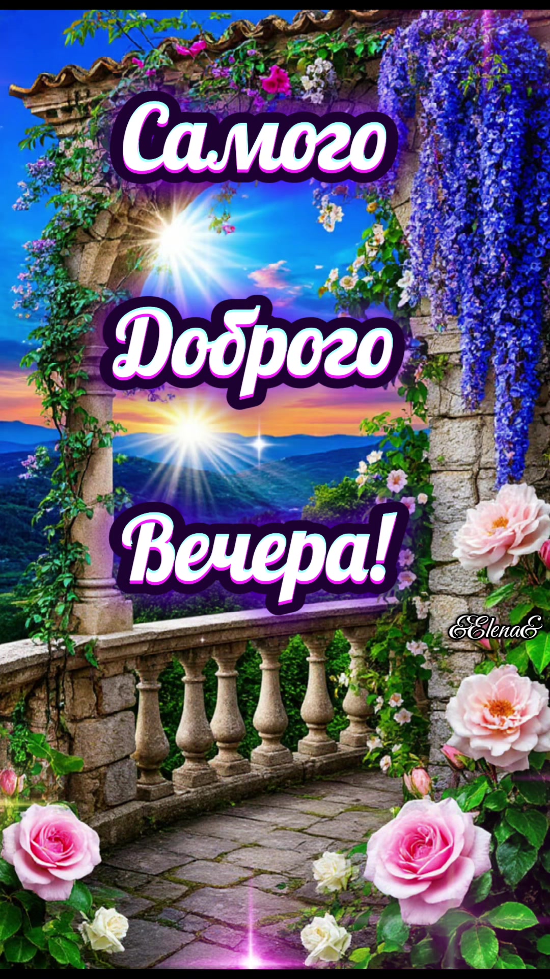 @elenapoodleyork01061958