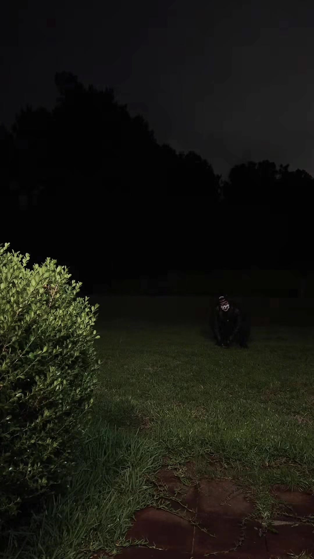 @SHDW