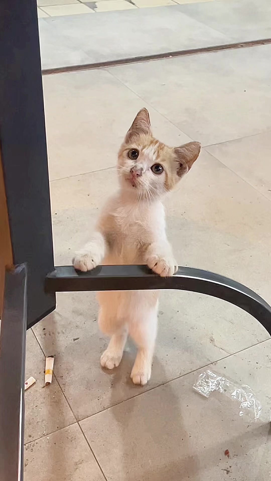 @three_muscateers