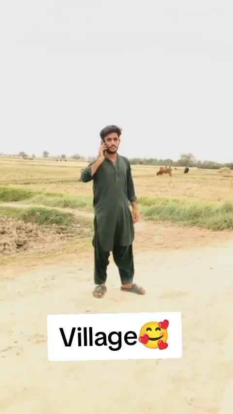 @shakeelbaloch534