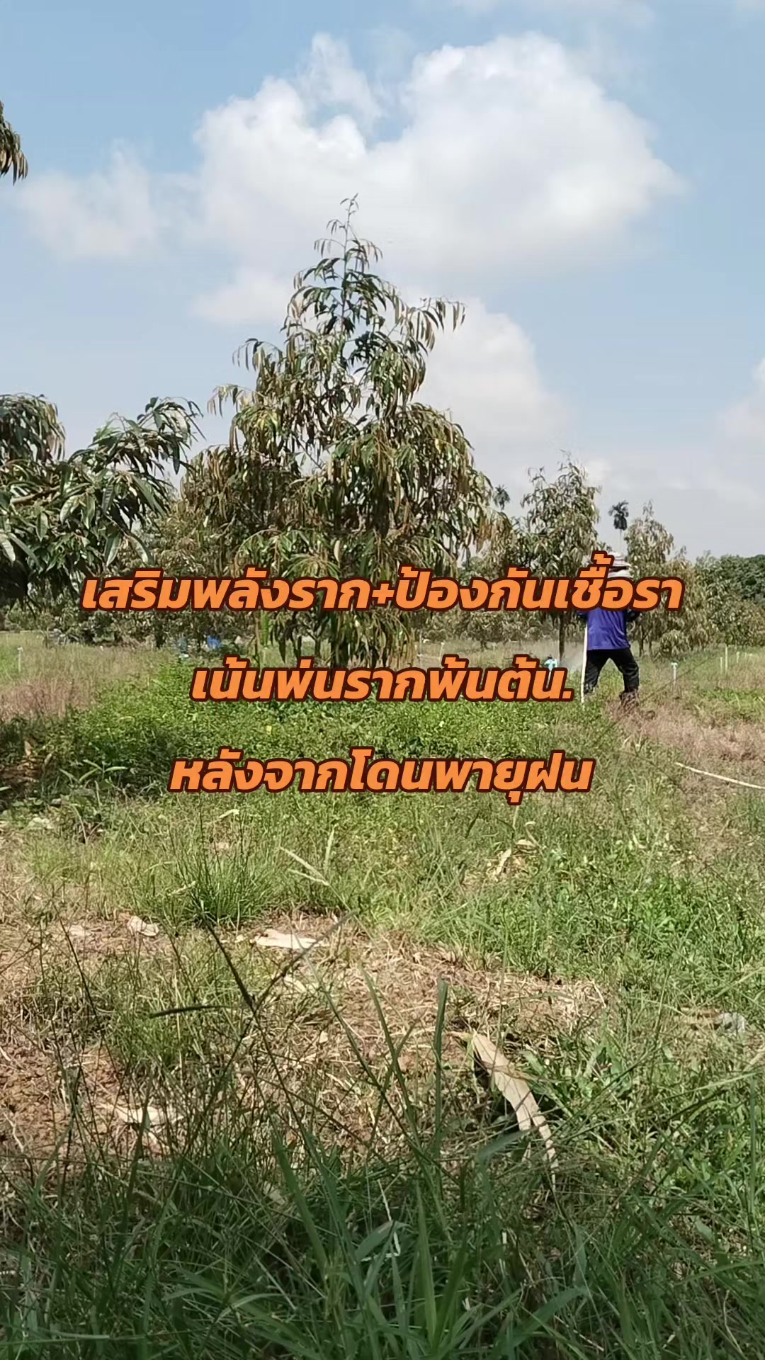 @หม้อดิน