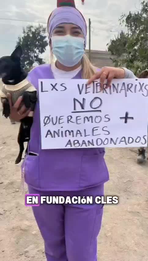 @cles.mx