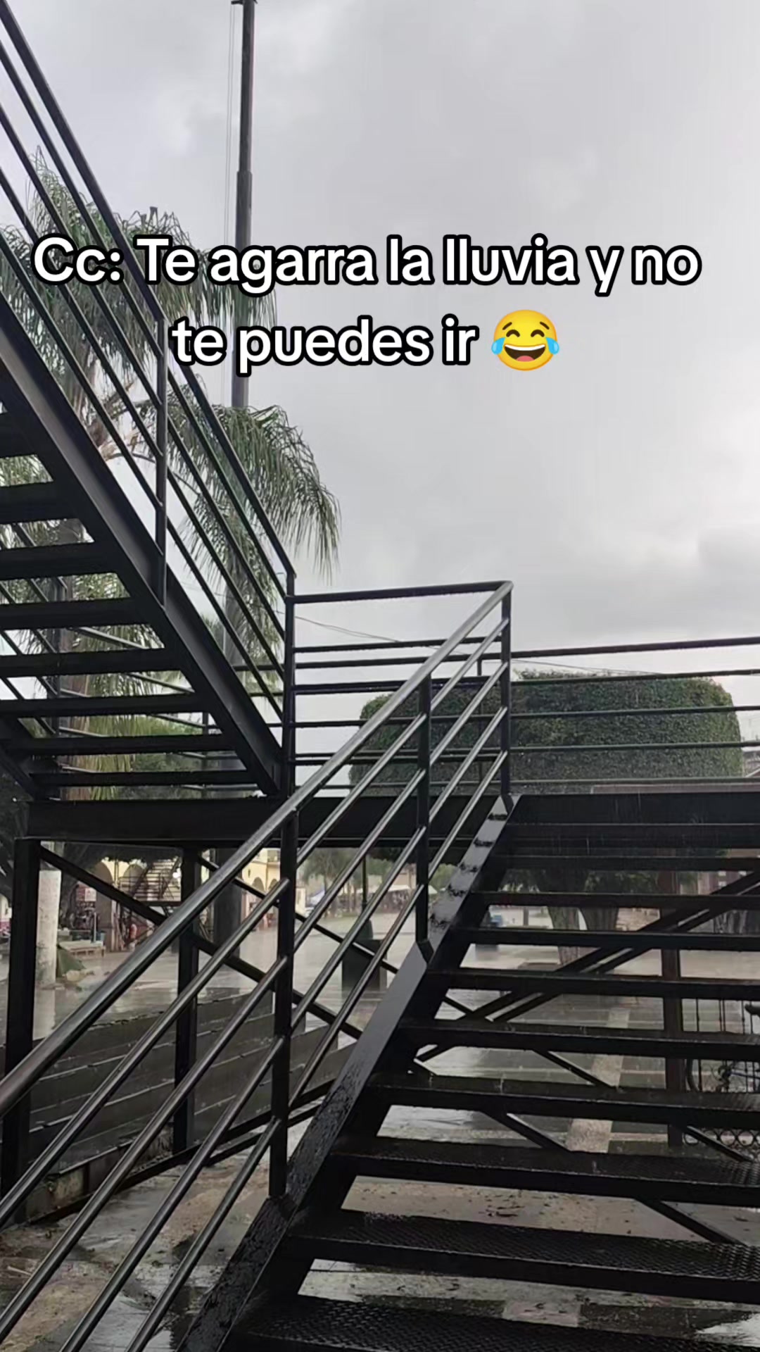 @🌷𝐿𝒾𝚉🌷