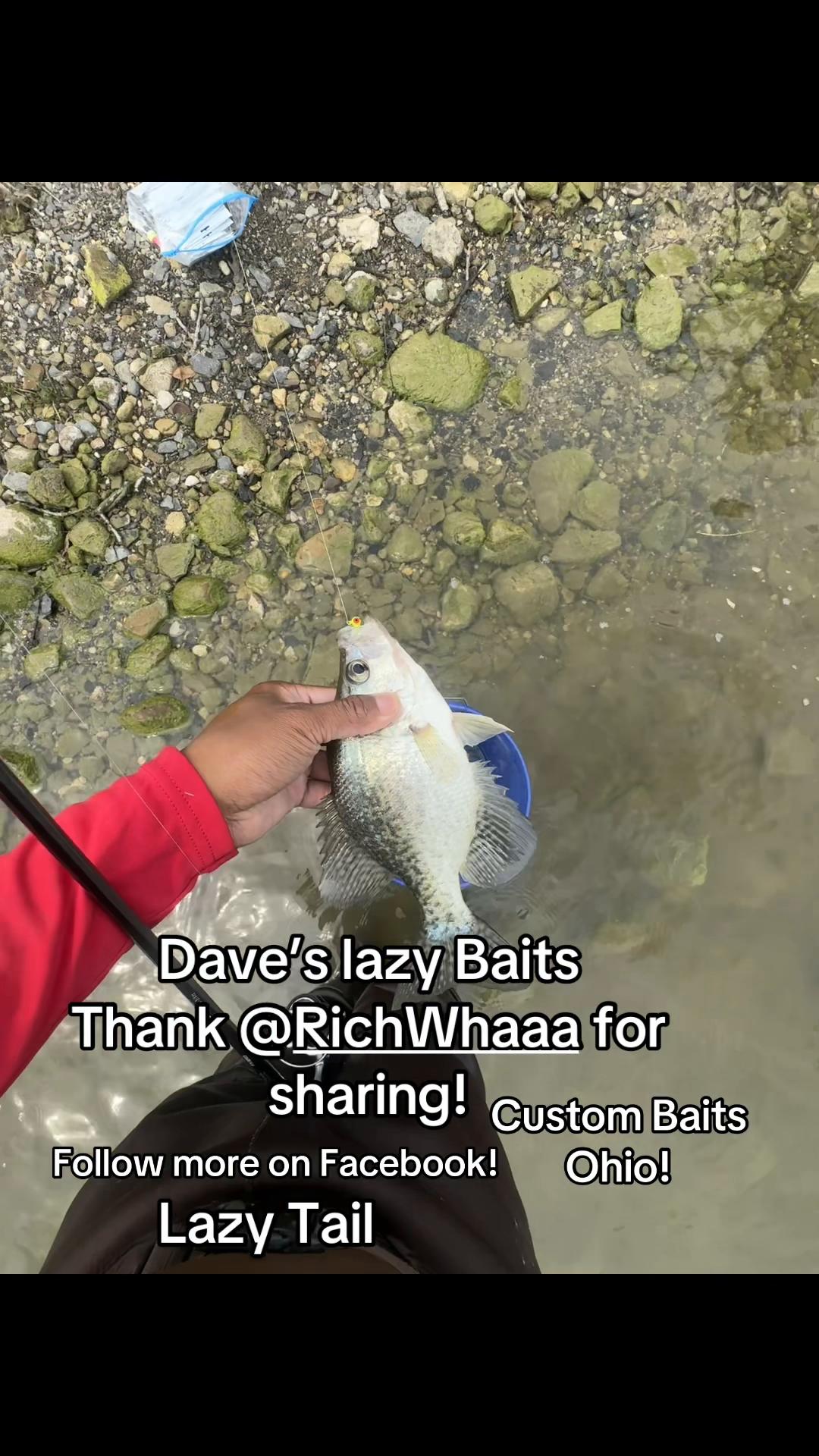 @Dave’s Lazy Baits