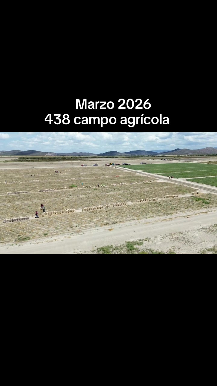 @Grupo MH