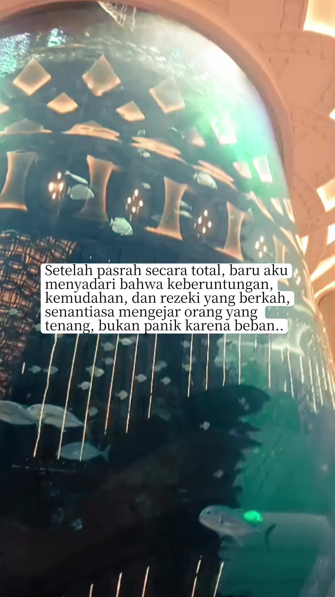 @nokulfah