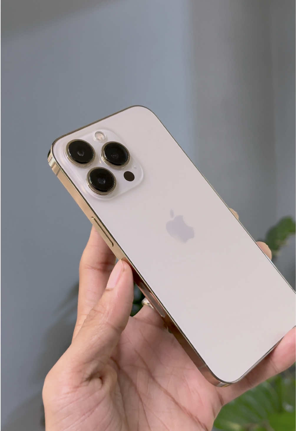 @I Crave PremiumSecond Mobile