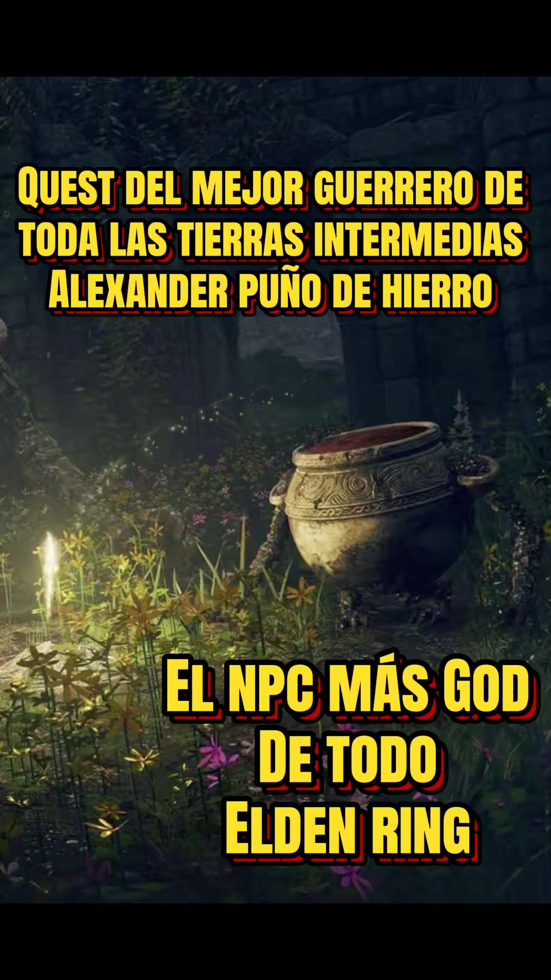 @mikeylobofurioso