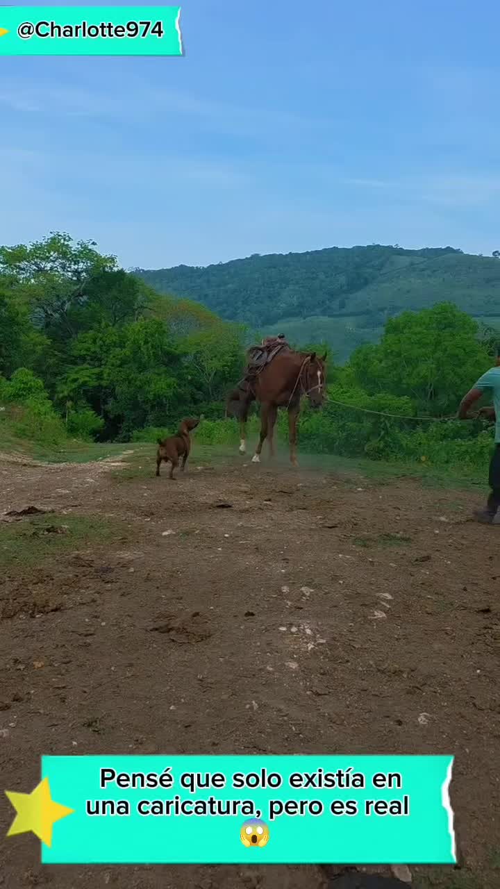 @Charlotte🐕🦺🐈🐕🦬🐐🐎🐄🐒