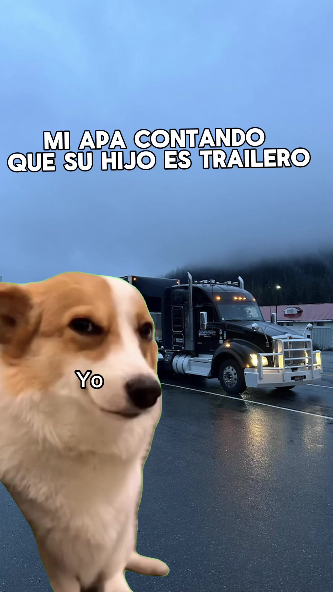 @JUAREZ