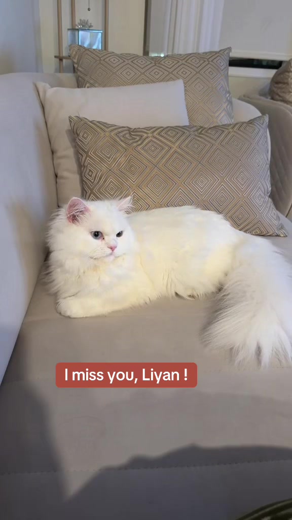 @Laily&Liyan 🐾